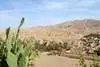 Tamerza