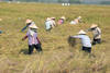 Vietnam - Hanoi, 15 JOURS / 12 NUITS - Circuit La Route Mandarine