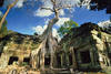 Angkor