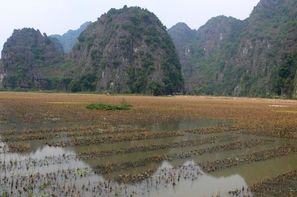 Vacances Hanoi: Circuit Paysages d'Indochine
