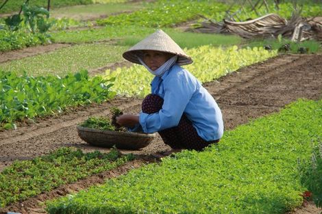 Voyage Vietnam, Circuit Hanoi : Circuit Charmes du Vietnam