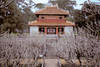 Vietnam - Hochiminh, Circuit La Route Mandarine 3*