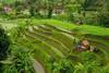Vietnam - Hochiminh, Circuit Les Incontournables du Vietnam 3*