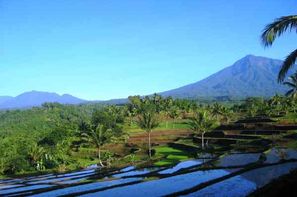 Vacances Denpasar: Combiné hôtels Combiné de villas : de la jungle d'Ubud aux sables de Bali