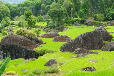 Voyage Bali, Combin�Denpasar : Combin� circuit et h�tel Splendeurs de Bali + extension Ile de Java et Baln�aire au Merc...