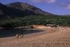 Plage de Tarrafal - "Cocktail Nature" 4 Iles