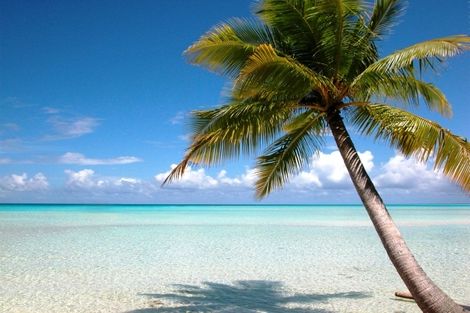 Voyage Cuba, Combin�La Havane : H�tel Quinta Avenida 5* / Melia Las Antillas 4* sup