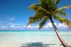 Cuba - La Havane, Combiné hôtels Quinta Avenida 5* / Melia Las Antillas 5*