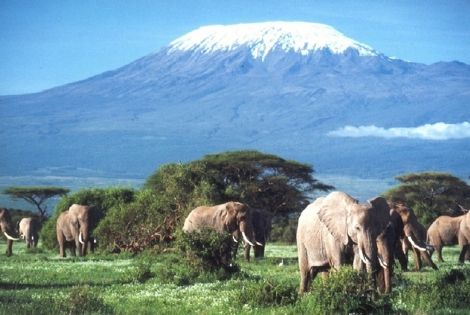 Voyage Kenya, Combin�Nairobi : Combin� circuit et h�tel Safari Terre Sauvage et H�tel Reef  3*