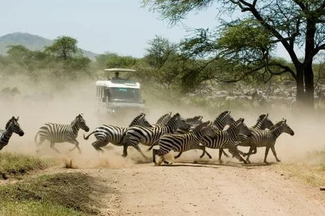 Voyage Kenya, Combin�Nairobi : Combin� circuit et h�tel Safari Terre Sauvage et Hotel Travellers Beach  4*