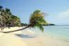 Plage sur l'île aux Nattes - "Cocktail Paradis"