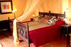 Chambre - Safari de Charme en Tanzanie + balnéaire à Zanzibar en hôtel 5* Charme