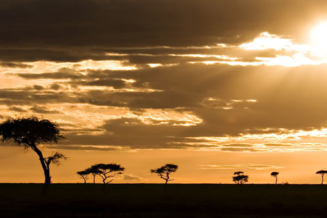Voyage Tanzanie, Combin�Kilimanjaro : Combin� circuit et h�tel Circuit Combin� Safari de charme en Tanzanie 3*/4* + ext...