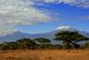 Tanzanie