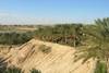 Tunisie - Djerba, Combiné circuit et hôtel Mer et Dunes 3*