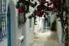 Sidi Bou Saïd