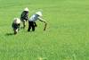 Vietnam - Hanoi, Combiné circuit et hôtel Splendeurs Vietnam + Phan Thiet  3*