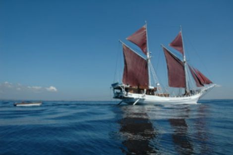 Voyage Bali, Croisi�re�Denpasar : Croisi�re De Flores aux dragons de Komodo