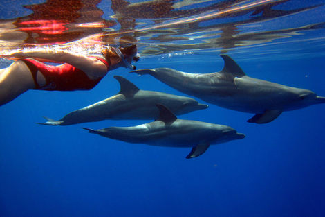 Voyage Egypte, Croisi�re�Marsa Alam : Croisi�re D�couverte Dauphins