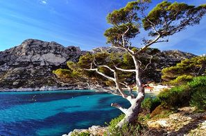 Vacances Marseille: Croisière MSC Armonia - Le Vent Chaud de l'Eté: France, Baléares, Italie