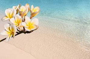 Guadeloupe-Pointe A Pitre, LA MAGIE DES CARAÏBES - VOLS INCLUS - POINTE-À-PITRE - HIVER 2017/2018