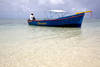 Barque traditionnelle