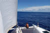 Sur le catamaran 5D - Croisière à la voile aux Grenadines 5D + Hôtels à Union et Ste-Lucie
