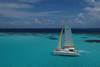Tobago Cays Island - Croisière à la voile aux Grenadines 5D + Hôtels à Union et Ste-Lucie