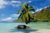 Ile des Seychelles