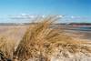 Plage - Novotel Le Touquet