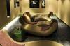 Spa - Hilton Evian-les-bains / Chb Standard "Hilton Guest Room"