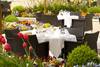 Terrasse restaurant Cannelle - Hilton Evian-les-bains / Chb Standard "Hilton Guest Room"