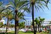 Piscine - Marmara Marbella