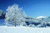 Paysages enneigés du Tyrol - ©Fotolia.com