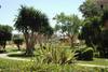 Jardin - Hélios