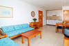 Coin Salon - Palia Sa Coma Playa