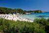 Plage - Marmara Anime Roc Carolina