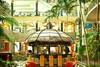 Hall - bar - Jardines de Nivaria
