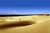 Les Dunes de Boa Vista