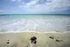 Plage - Olympien Riu Karamboa