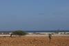 Paysage