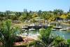 Jardin - Melia Las Antillas