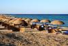 Plage - Gorgonia Beach