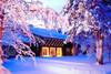 Finlande - Ivalo, "Magie du Nouvel An à Savukoski" - Auberge Samperin Savotta 3*