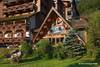 France Alpes - Morzine, Hôtel Framissima le Cret 3*