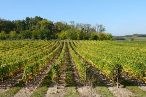 Centre<br/><sup>Route des vins de Loire</sup>
