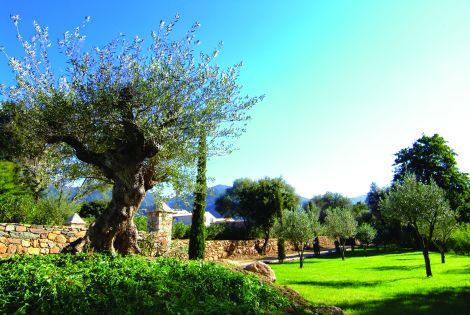 Voyage France Corse, Séjour Oletta : Hôtel La Dimora 3*