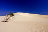 Dunes