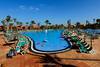 Piscine - Oasis Papagayo
