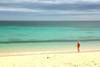 plage - Oasis Papagayo